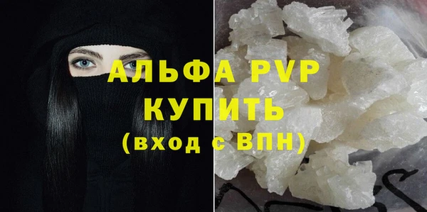 шишки Новодвинск