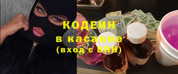 шишки Новодвинск