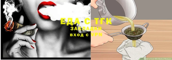 шишки Новодвинск