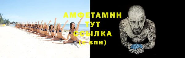шишки Новодвинск