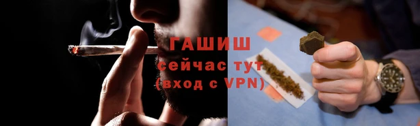 шишки Новодвинск