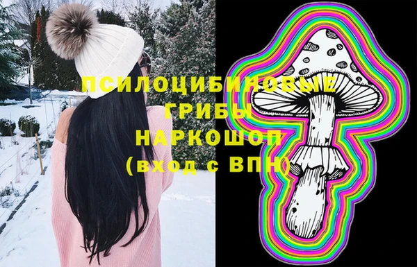 винт Новозыбков
