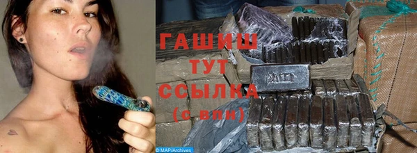шишки Новодвинск
