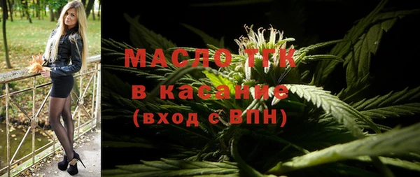 шишки Новодвинск