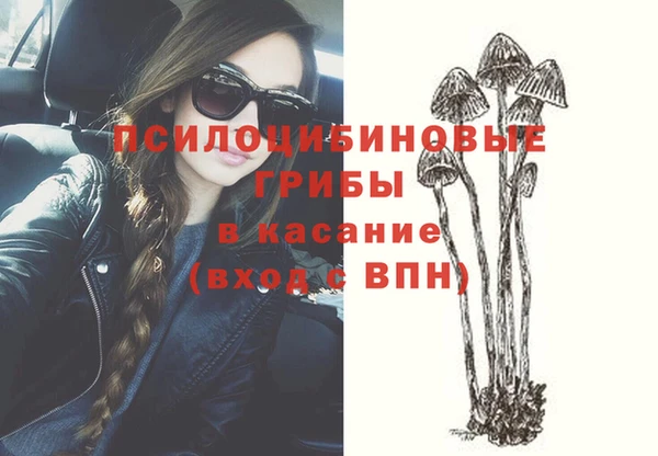 шишки Новодвинск