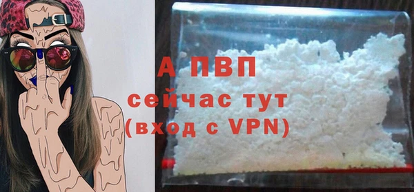 шишки Новодвинск