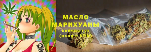 шишки Новодвинск