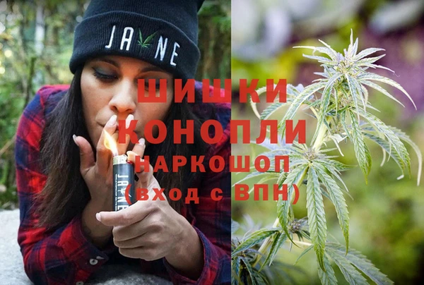 винт Новозыбков