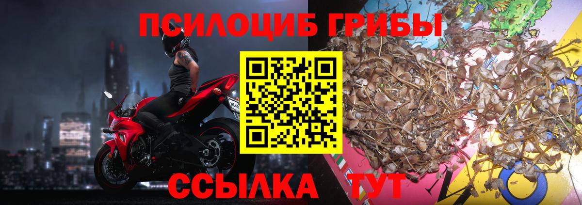 Галлюциногенные грибы GOLDEN TEACHER Кулебаки