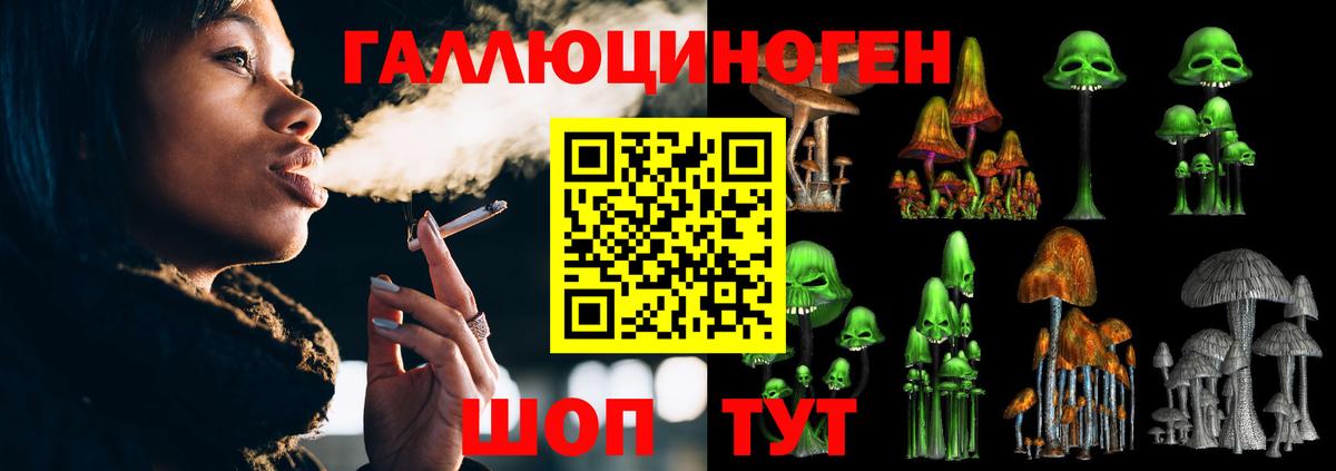 Кулебаки  Псилоцибиновые грибы ЛСД  Вход с VPN 
